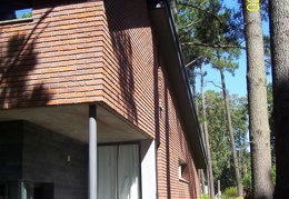 Copia de 100 0639